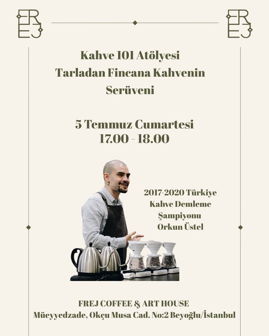 Kahve 101 : Tarladan Fincana Kahvenin Serüveni
